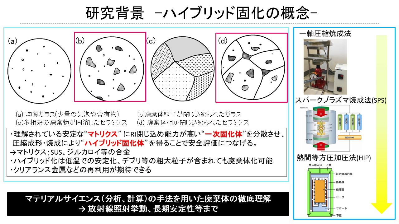 中瀬研究室の研究紹介