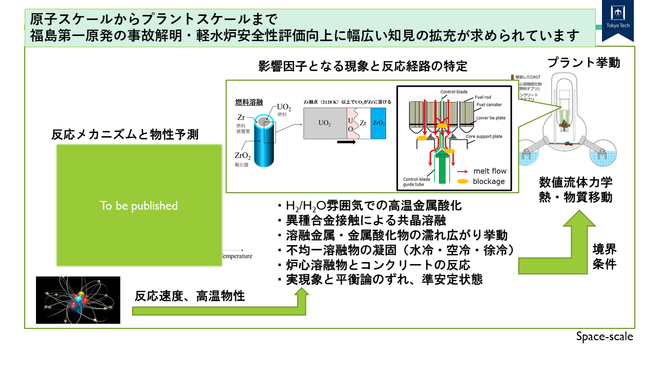中瀬研究室の研究紹介