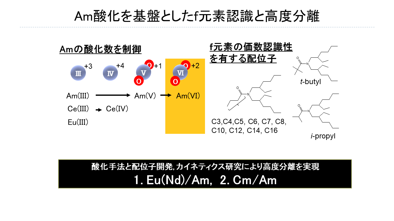 中瀬研究室の研究紹介